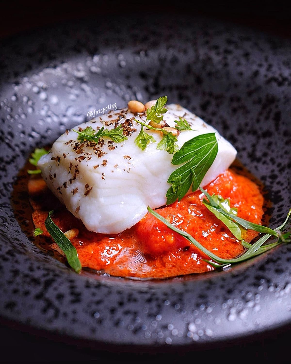 LUCE Special Collaboration