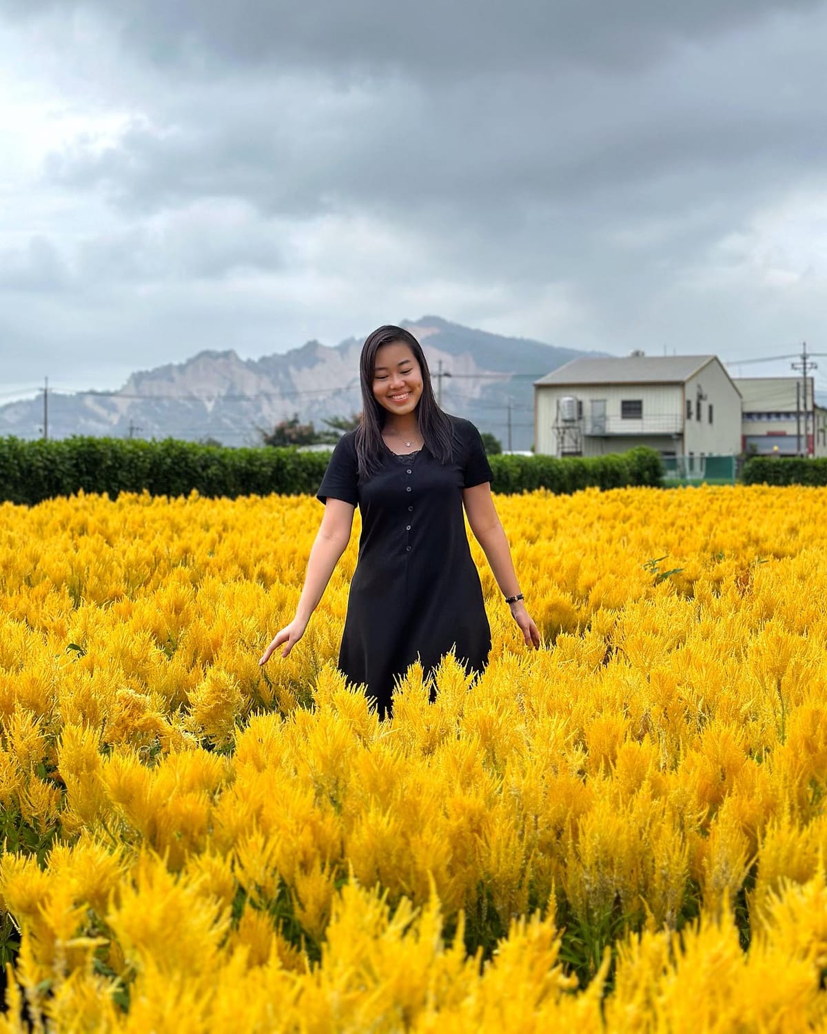 Zhongshe Flower Market 中社觀光花市