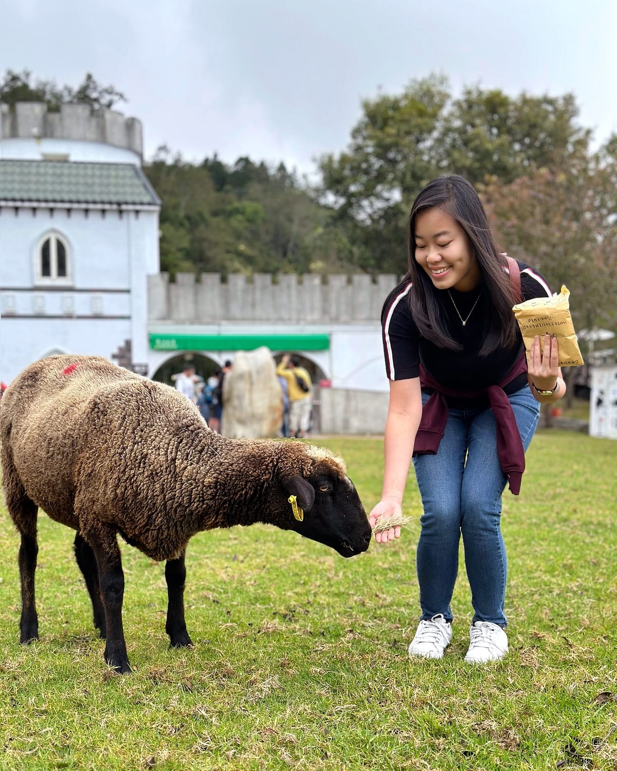 Green Green Grassland @ Cingjing Farm 青青草原, 清境農場