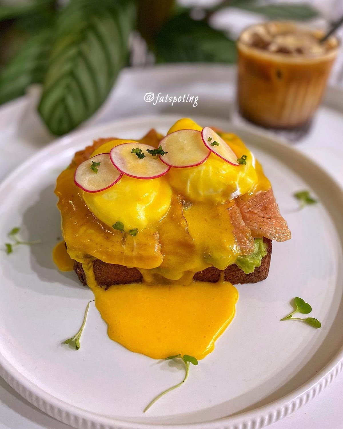Glacier — Brunch