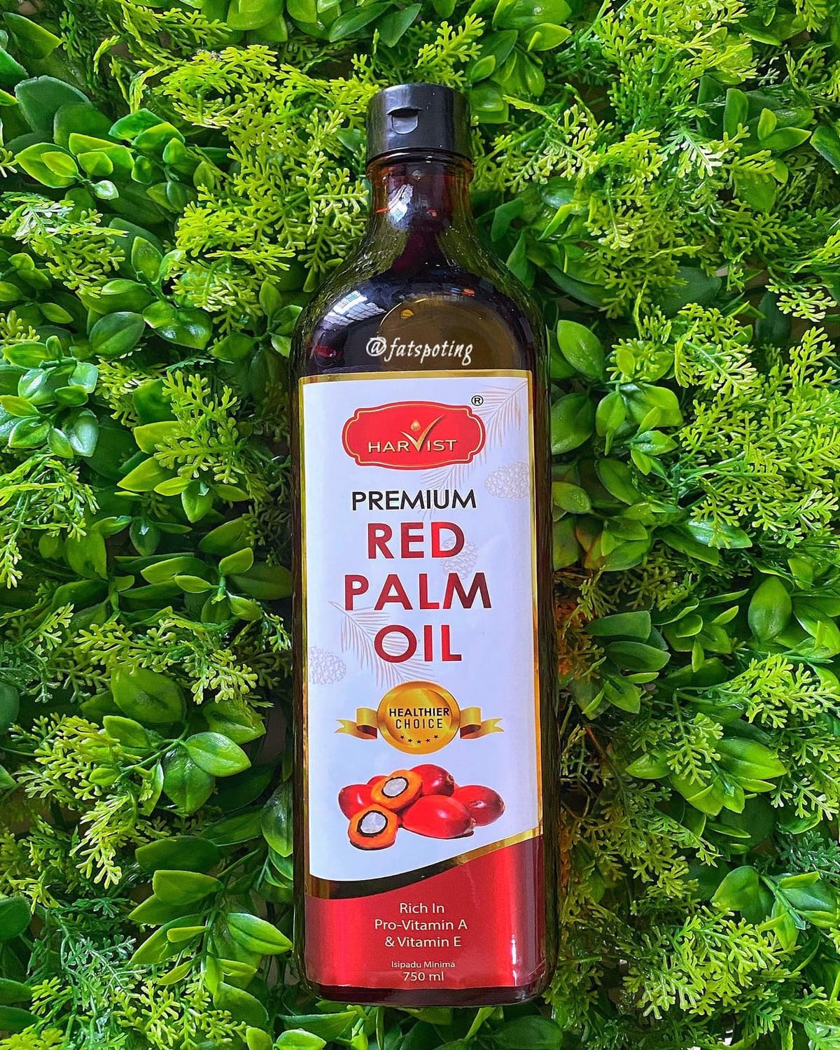 Harvist Official — Red Palm Oil Home Cooking