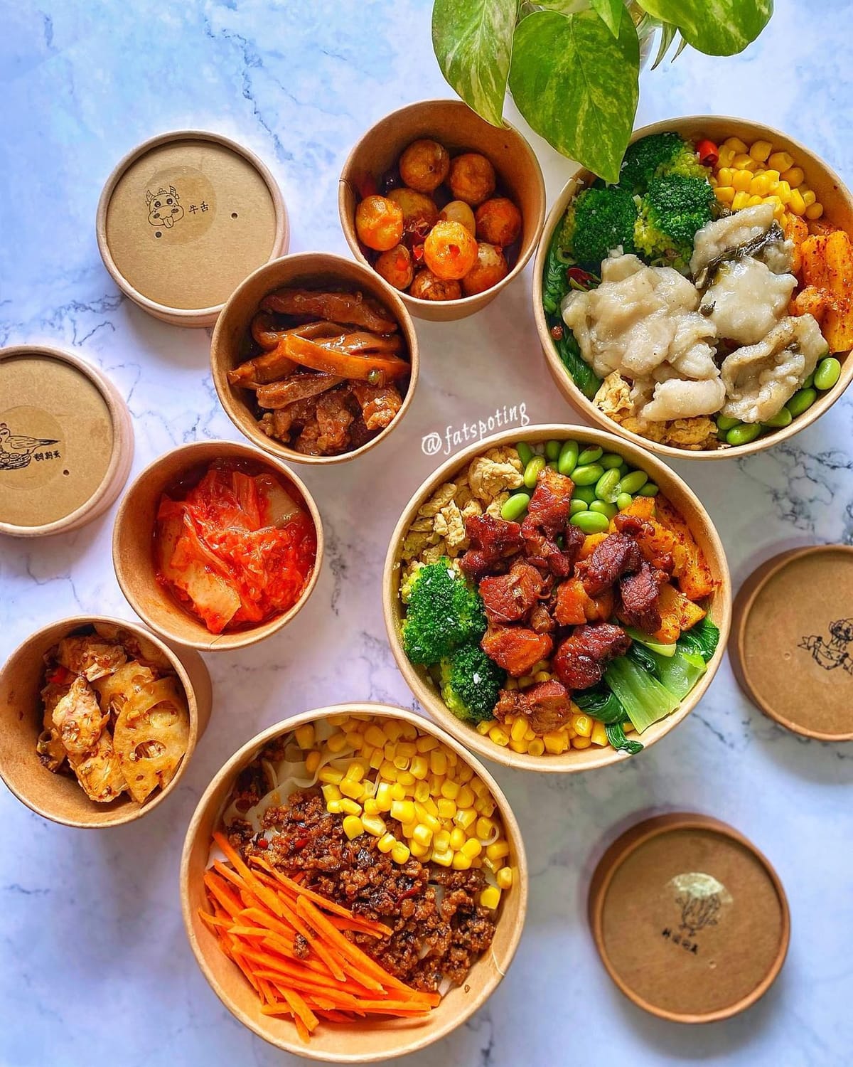 Chengdu Bowl — Sichuan Poke Bowls for Shopee 6.6 Sale