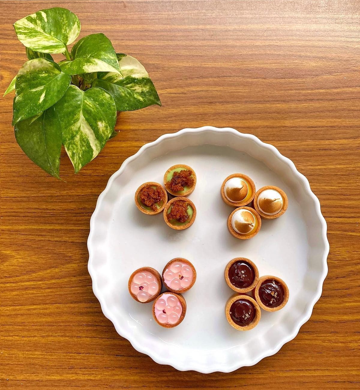 Rachelrax — Mini Tarts & Alcohol-Free Tiramisu