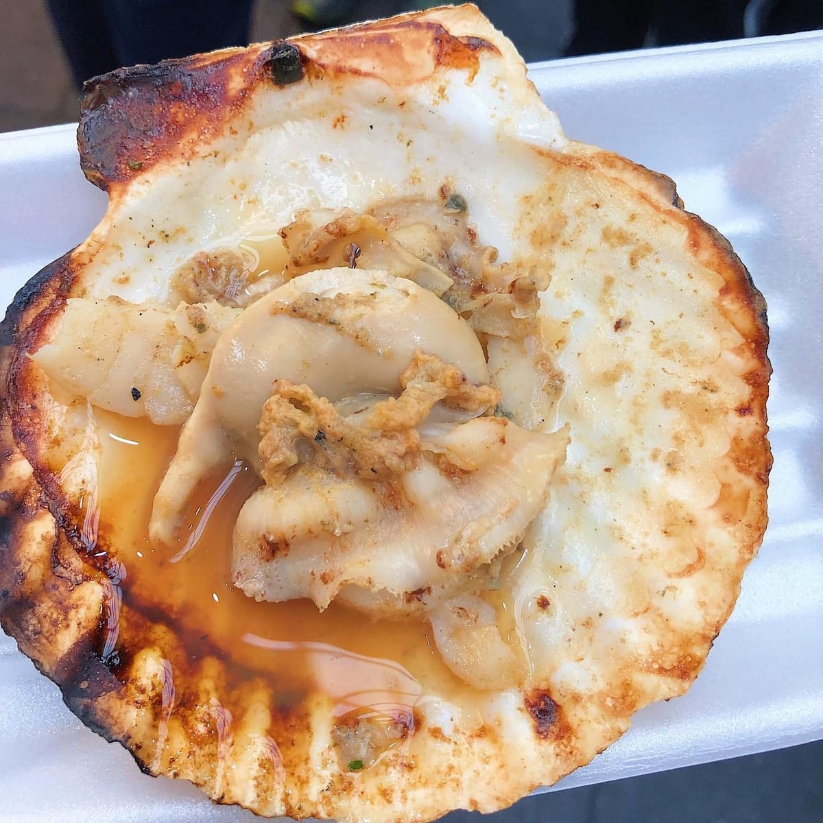 Hokkaido Scallop