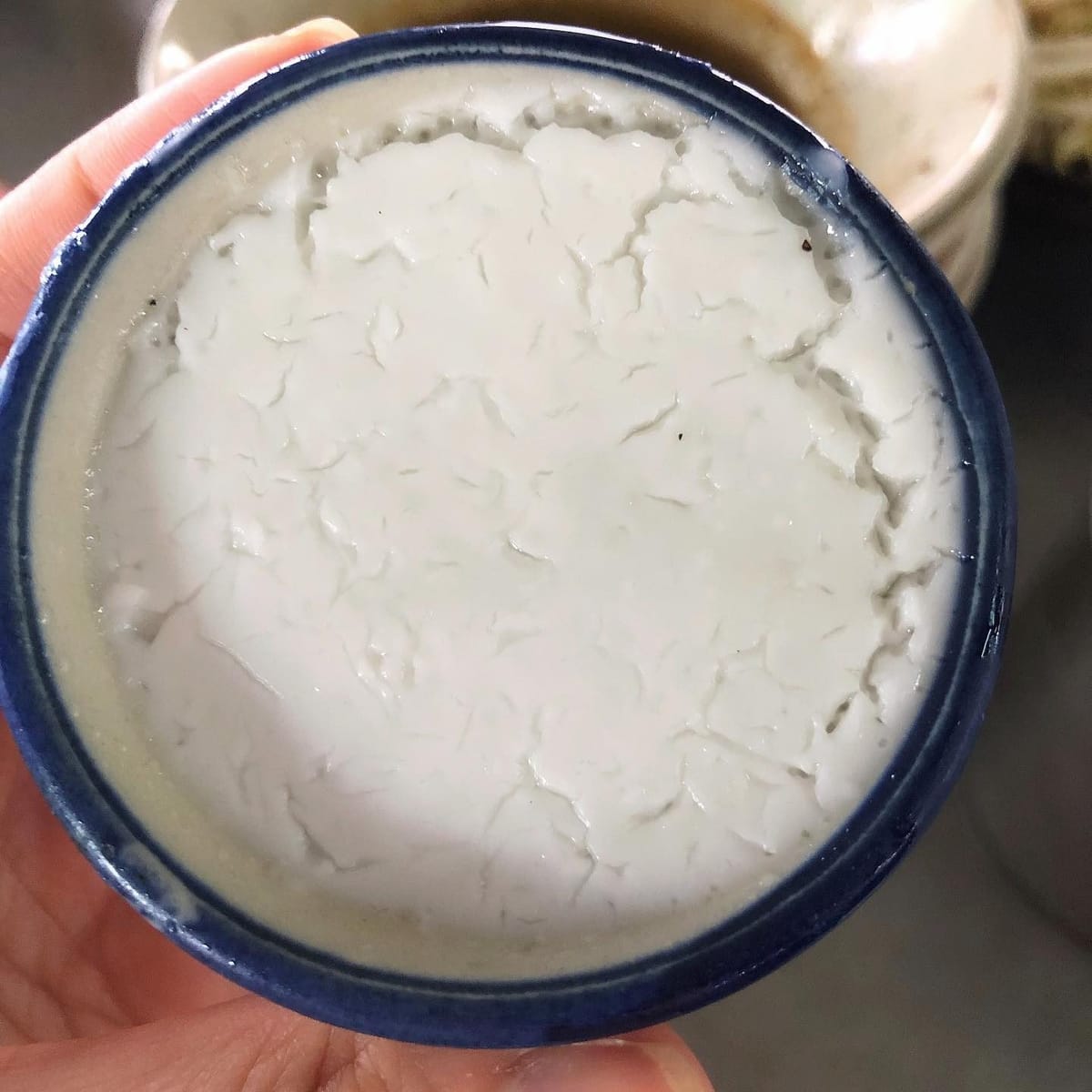 Coconut Custard 🥥