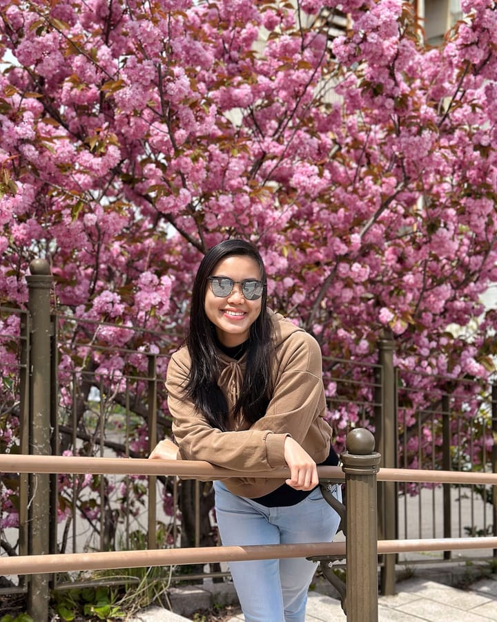Sushi and Sakura at 八幡坂, Hakodate