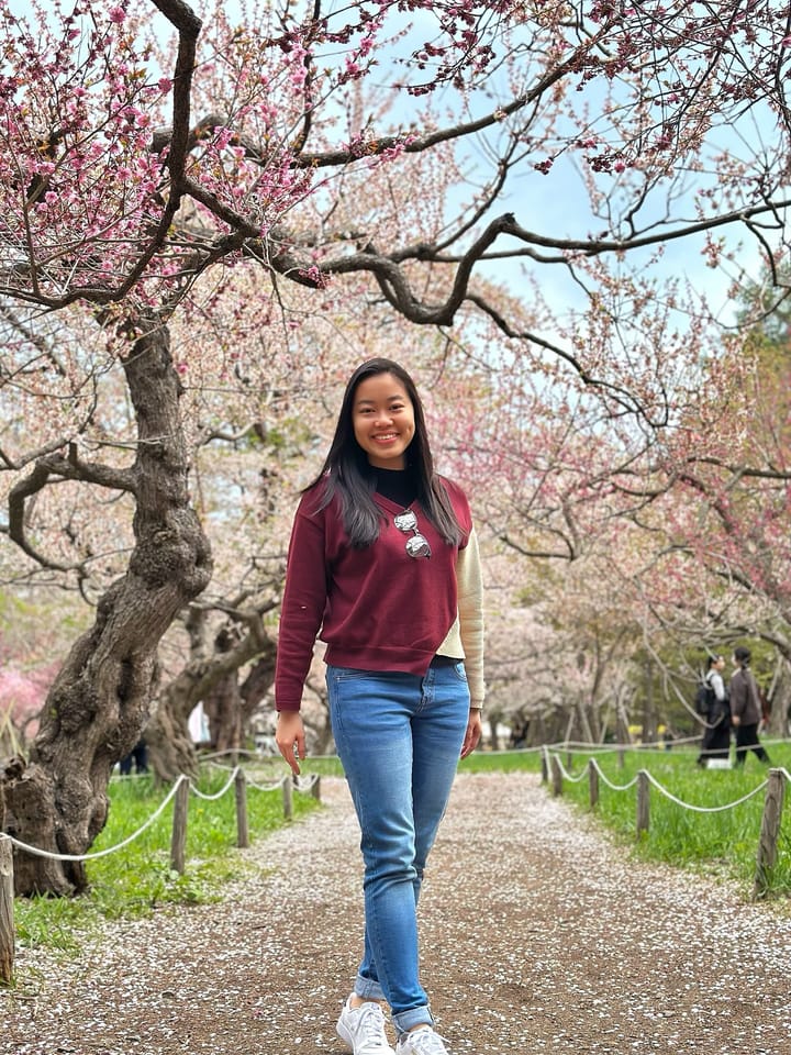 Maruyama Park — Cherry Blossoms in Sapporo