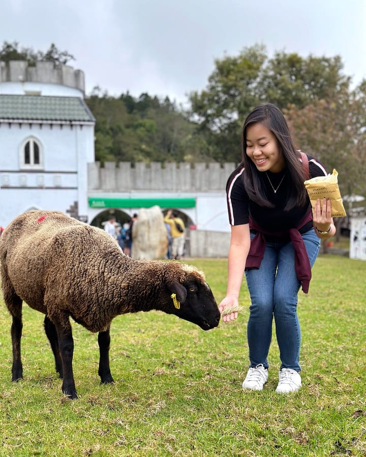 Green Green Grassland @ Cingjing Farm 青青草原, 清境農場