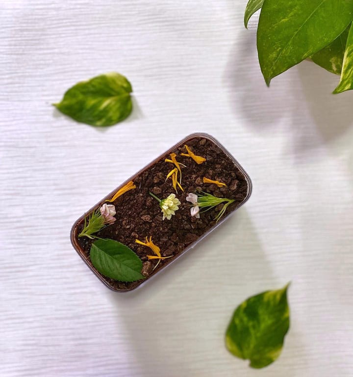 Cream & Custard — The Garden & Fudge Brookies Set