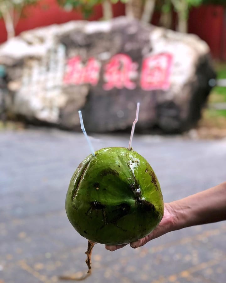 Coconut Drink 🥥